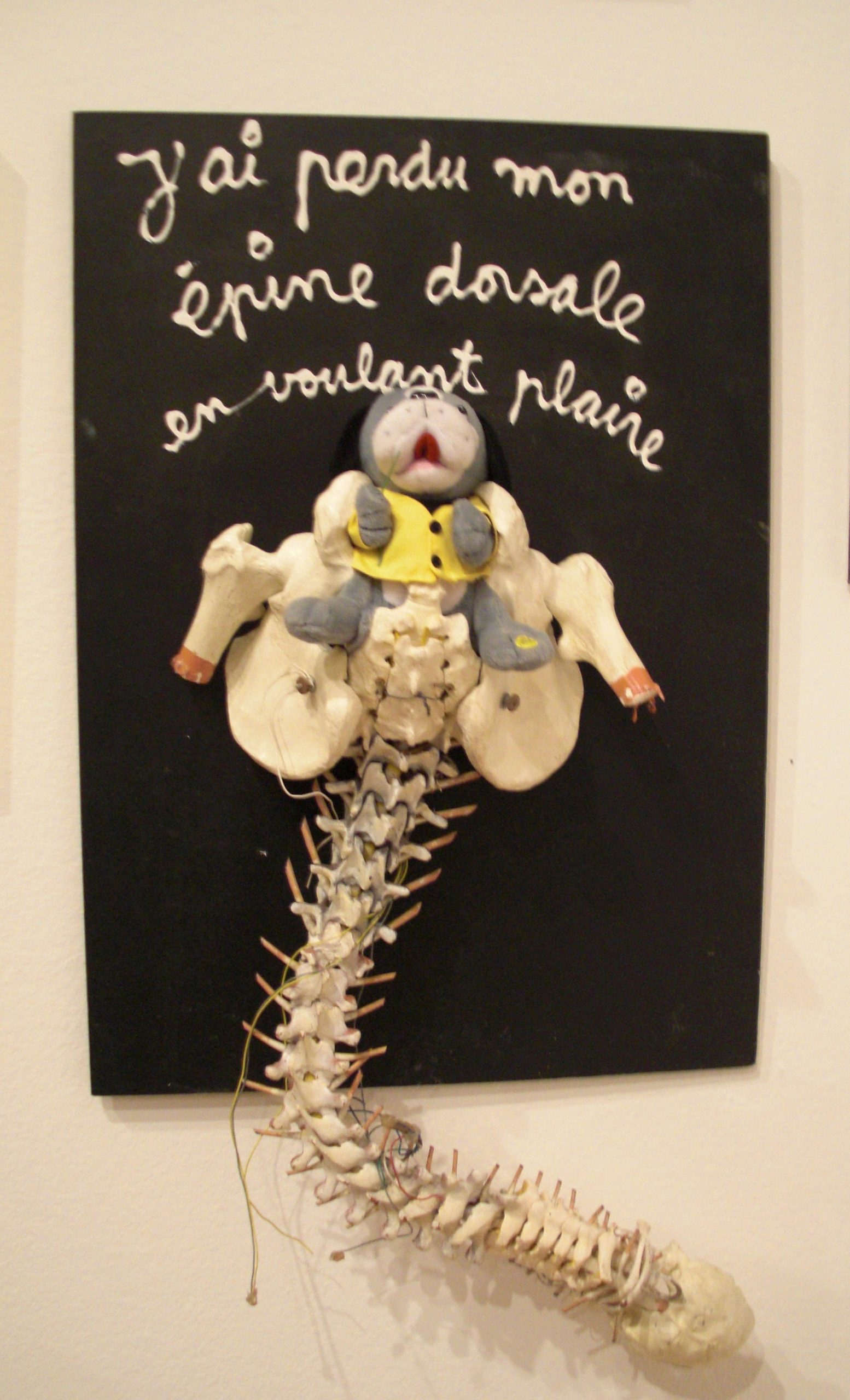 Ben, J'ai perdu mon épine dorsale en voulant plaire, 2006