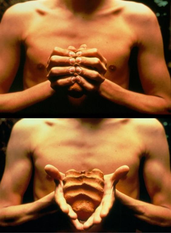 orozco, My Hands are my Heart, 1991
